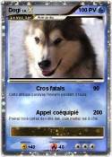 Dogi