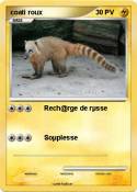 coati roux