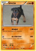 pinscher