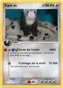 Furet ex 1
