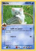 Miachu Miachu
