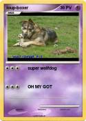 loup-boxer