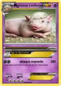 grosse cochonne