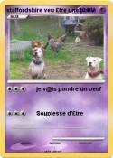 staffordshire veu £tre une poule staffordshire