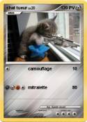 chat tueur