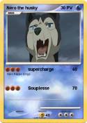 Néro the husky