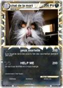chat de la mort