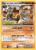 tigre et chat