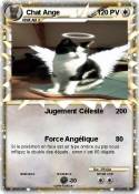 Chat Ange