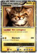 Chat ch'est