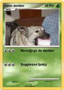 chien dentier