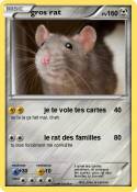 gros rat gros rat