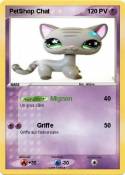 PetShop Chat