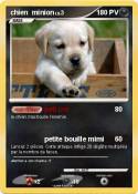 chien minion