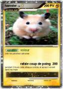 hamster