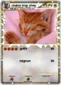 chaton trop