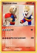 Superman chien