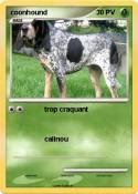coonhound coonhound