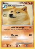 Doge
