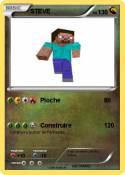 STEVE