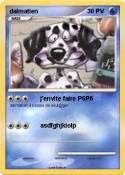 dalmatien dalmatien