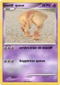 mastiff queue