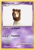 pit-bull en