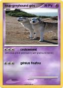 loup-greyhound gris loup-greyhound