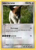 bébé fox