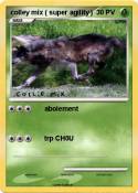 colley mix (