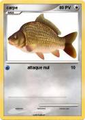 carpe