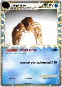 pinpinsse