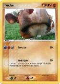  vache