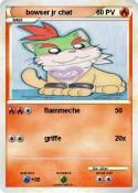 bowser jr chat