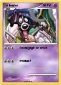 rat terrier