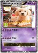 Nintendogs +