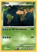 TERRE