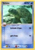 Tortoiza