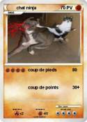 chat ninja