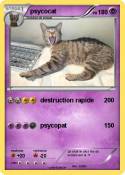 psycocat