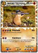 MARMOTTEZOOKA