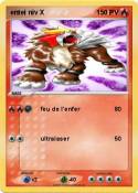 entei niv X entei niv X