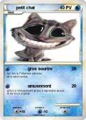 petit chat