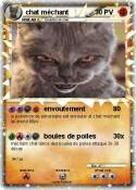 chat méchant