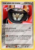 Chat pilote de