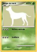 berger du karst