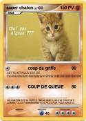 super chaton