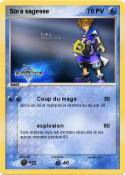 Sora sagesse