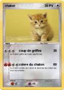 chaton