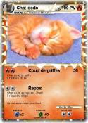 Chat-dodo Chat-dodo
